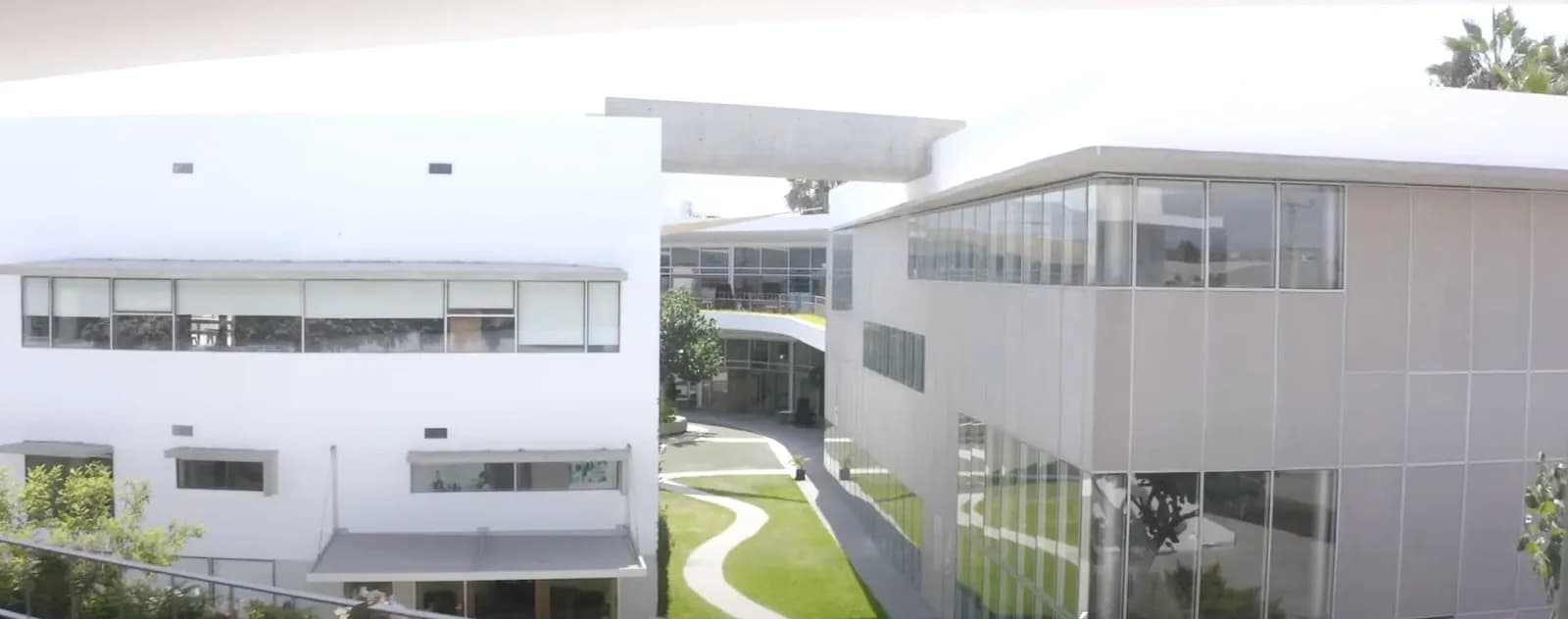 Colegio Aleph